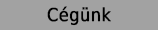 Cegunk
